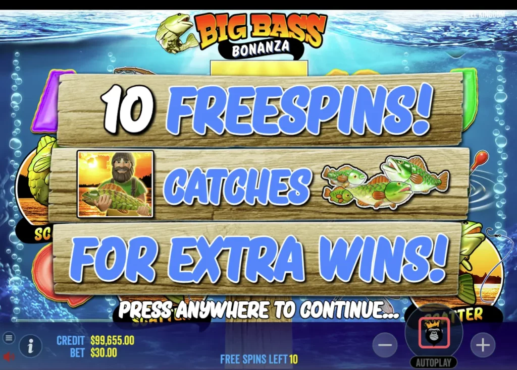 10 free spins won on Big Bass Bonanza online slot machine.