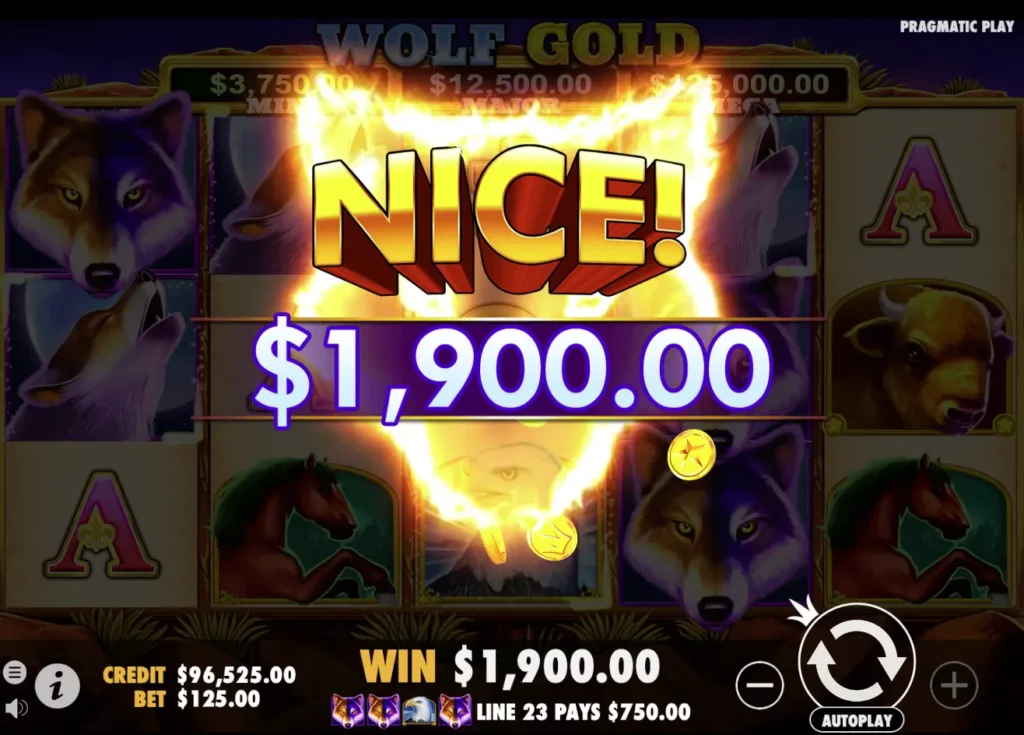 الربح الكبير 1900 دولار في لعبة ماكينة مقامرة Wolf Gold على الانترنت.